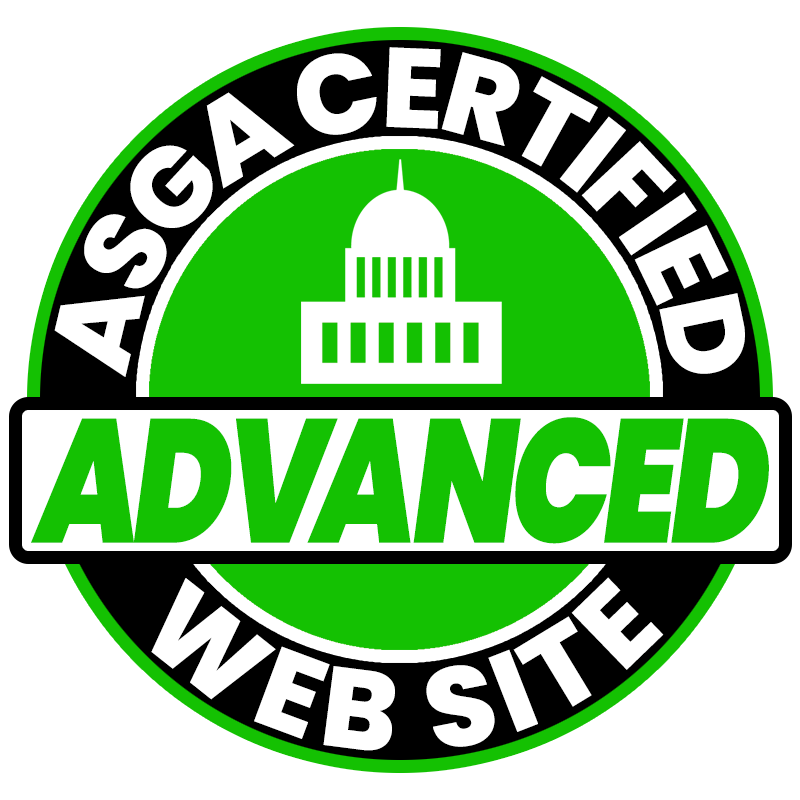 Advanced Logo